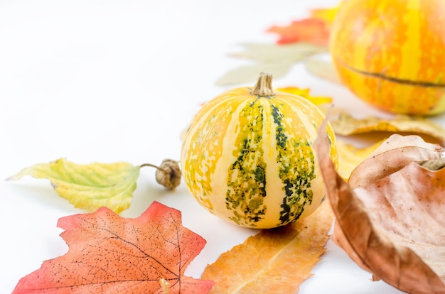 Coloridas hojas de otoño y calabazas pequeñas