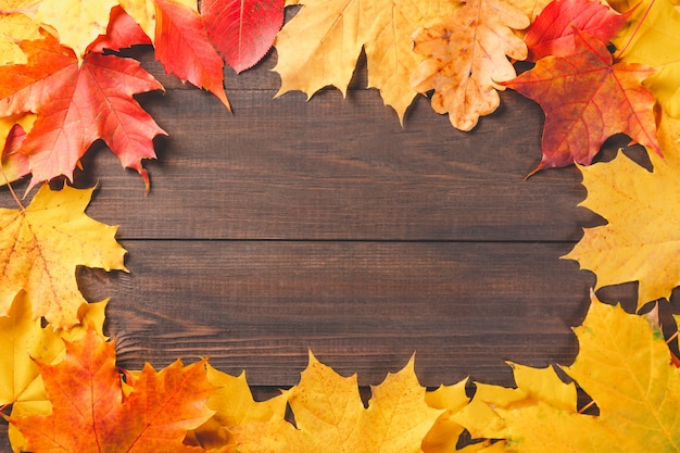 Coloridas hojas de otoño follaje sobre fondo de marco de textura de madera oscura