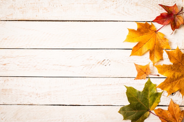 Coloridas hojas de otoño sobre fondo blanco rústico.