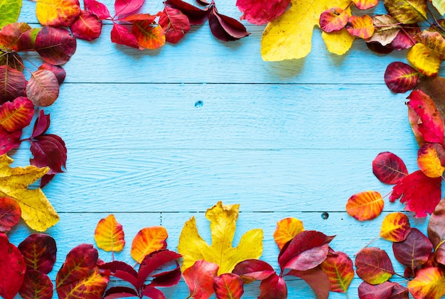 Foto coloridas hojas de otoño, sobre un fondo de madera
