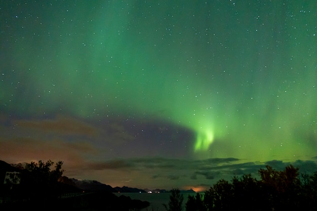 Coloridas luces del norte en el cielo