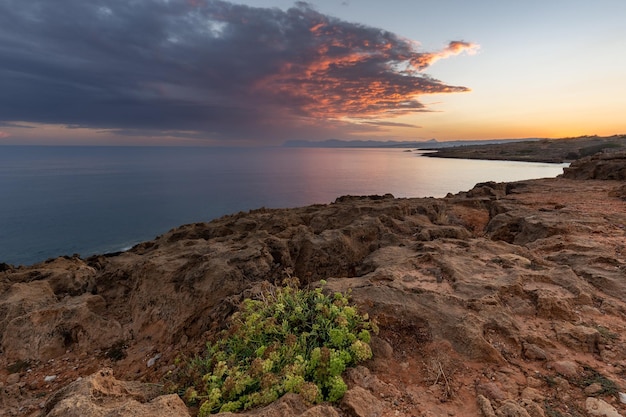 Colorido amanecer marino con costa rocosa y ramo de flores en primer plano Creta Grecia