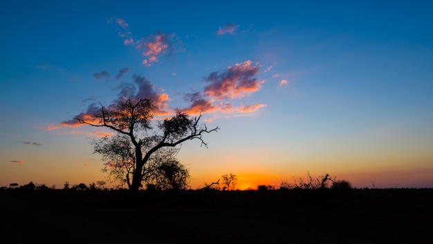 Colorido atardecer en el monte