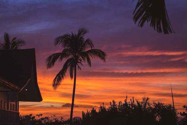 Colorido atardecer tropical con silueta de palmera Resort tropical en el cielo de la tarde