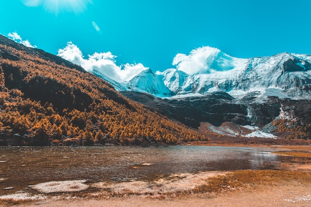 Colorido en bosque de otoño y montaña nevada en la reserva natural de Yading