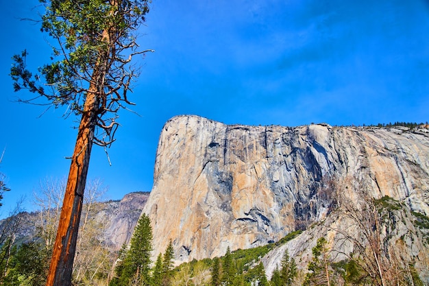 Colorido El Capitán en Yosemite a plena luz