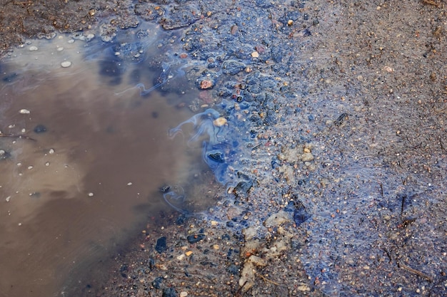 Colorido charco de gasolina en la carretera asfaltada