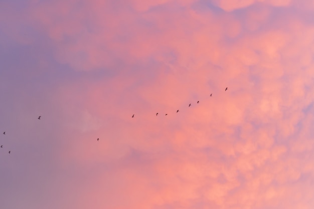 Colorido cielo nublado al atardecer. Degradado de color. Textura de cielo, fondo de naturaleza abstracta