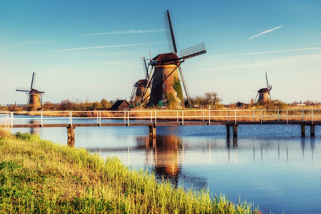 Colorido día de primavera con el tradicional canal holandés de molinos de viento