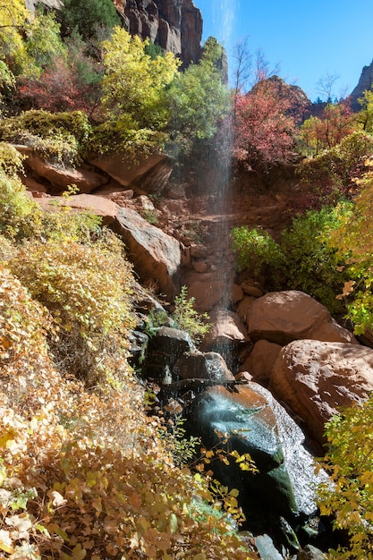 Foto colorido follaje otoñal y cascada en zion