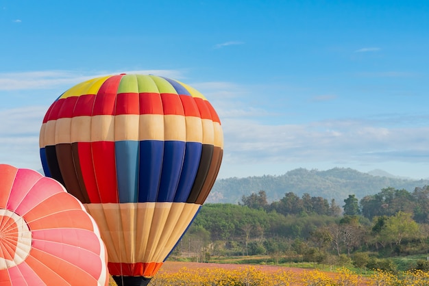 Colorido globo aerostático volando en el parque natural y jardín. Viaje en Tailandia y actividad de aventura al aire libre.