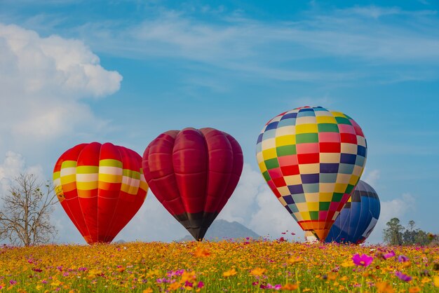 Colorido globo aerostático volando en el parque natural y jardín. Viaje en Tailandia y actividad de aventura al aire libre.