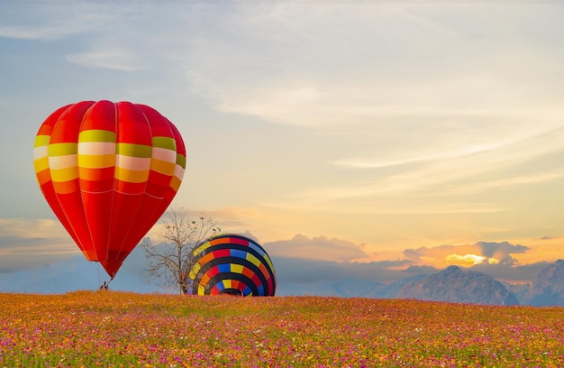 Colorido globo aerostático volando en el parque natural y jardín. Viaje en Tailandia y actividad de aventura al aire libre.