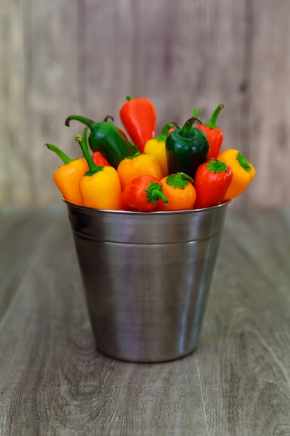 Colorido mini pimientos dulces por encima de la vista en una cesta