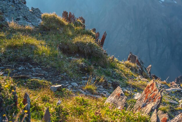 Colorido paisaje montañoso en el borde del abismo con piedras afiladas entre la flora verde bajo la luz del sol Vista soleada desde un acantilado a muy gran altura Paisaje alpino escénico con hermosas rocas afiladas bajo el sol