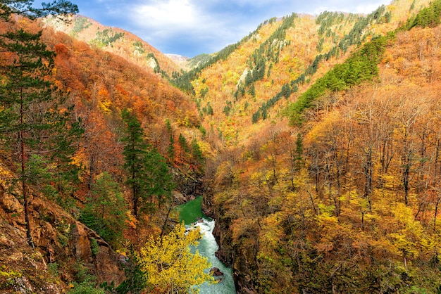 Colorido paisaje otoñal de montaña con cañón y río