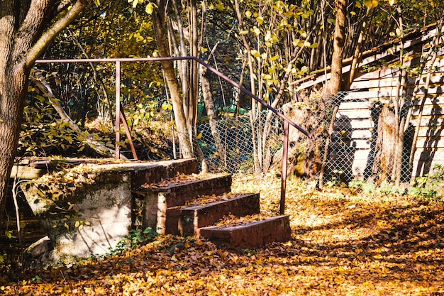 Colorido paisaje de otoño con escaleras follaje naranja luz solar dorada Hermosa naturaleza Fondo de otoño