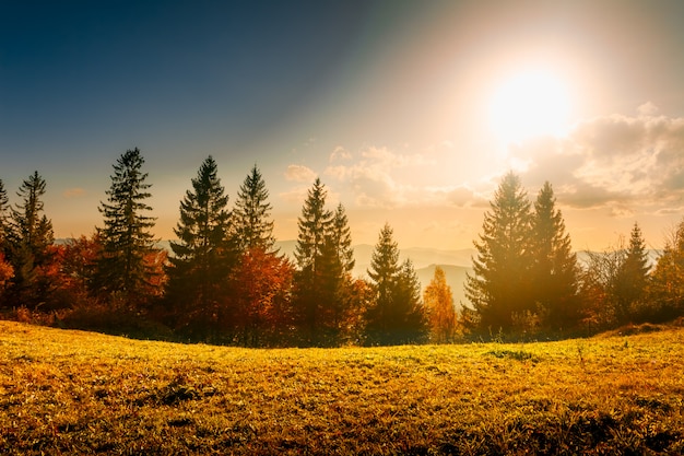 Foto colorido paisaje de otoño