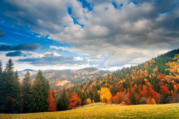 Colorido paisaje de otoño