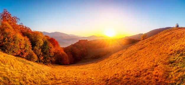 Foto colorido paisaje de otoño