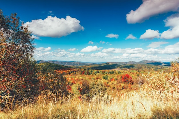 Colorido paisaje rural de otoño y cielo azul con nubes cúmulos