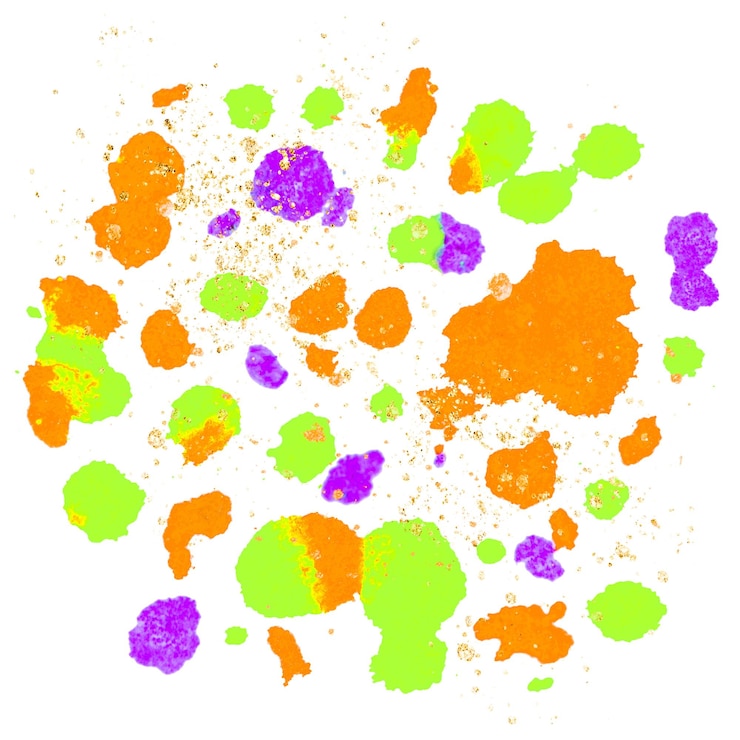 Foto colorido png cera derretido lápiz de colores elemento de arte