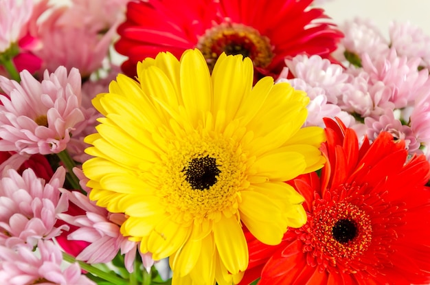 Colorido ramo de cerca Flores de gerbera y crisantemo en ramo