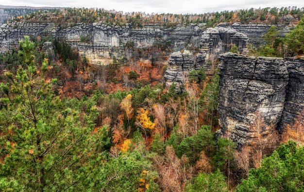 Coloridos árboles de otoño en bosques y formaciones rocosas en la Suiza bohemia