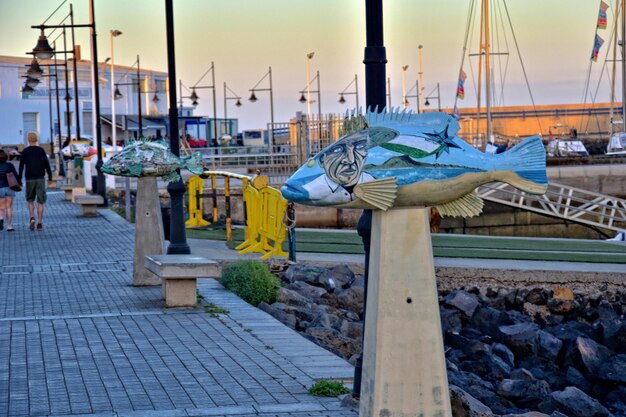 Foto coloridos y divertidos monumentos de peces en el puerto de corralejo, españa