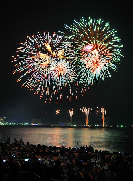 Los coloridos fuegos artificiales brillantes iluminan el cielo