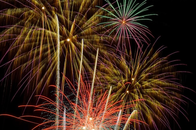 Coloridos fuegos artificiales explotaron en el cielo nocturno