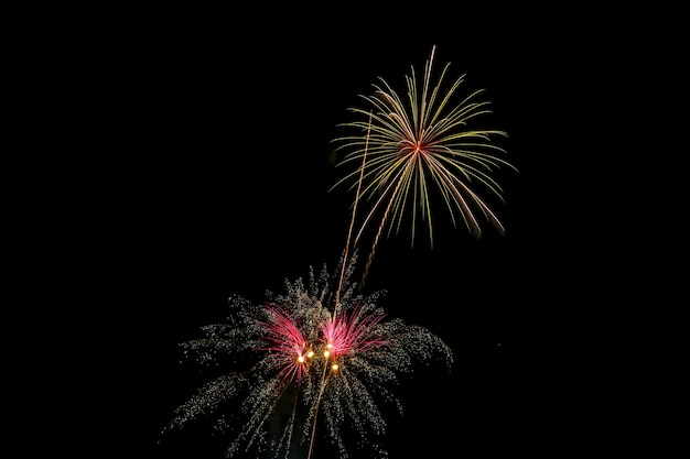 Coloridos fuegos artificiales explotaron en el cielo nocturno