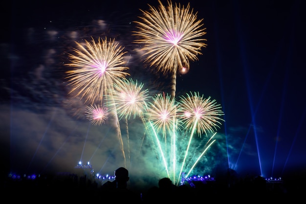 Coloridos fuegos artificiales en la noche iluminan el cielo con deslumbrante exhibición.