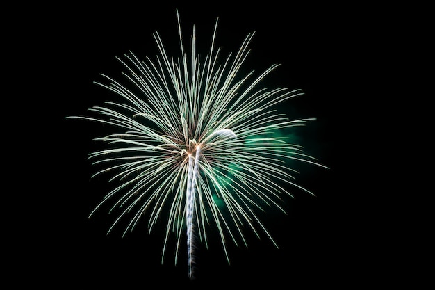 Coloridos fuegos artificiales sobre el cielo oscuro