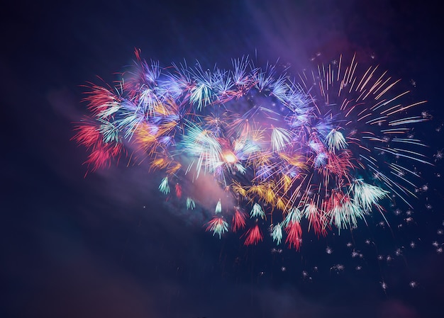 Coloridos hermosos fuegos artificiales saludan contra el oscuro cielo nocturno