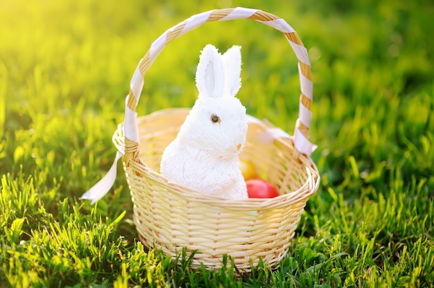 Coloridos huevos de Pascua en una canasta con lindo conejito de juguete blanco