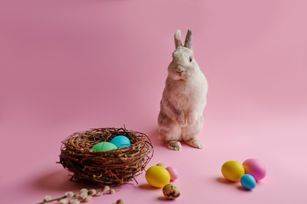 Coloridos huevos de pascua y conejo en mesa rosa.