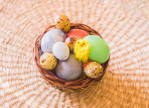 Coloridos huevos de Pascua y juguete decorativo de pollo amarillo pequeño en una canasta de mimbre.