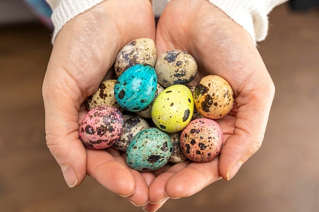 Coloridos huevos de pascua en manos de mujeres huevos de codorniz