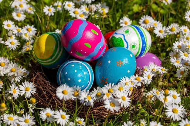 Coloridos huevos de pascua en la naturaleza y margaritas blancas.