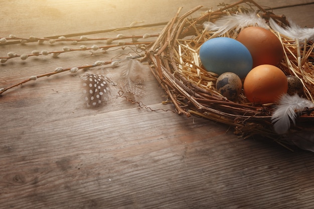Coloridos huevos de Pascua en el nido en el tablero de madera oscura.