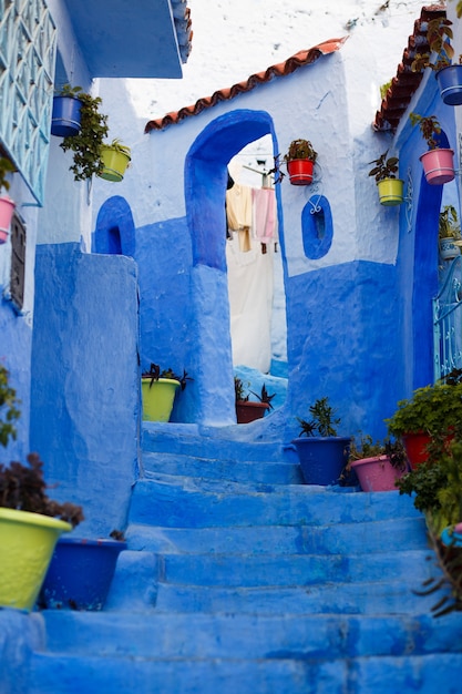 Coloridos jarrones con plantas de pie sobre los pasos azules en la calle azul en algún lugar de Marruecos