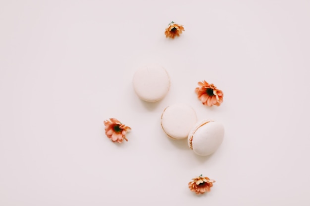 Coloridos macarons franceses y flores sobre una superficie blanca con vista superior del espacio de copia