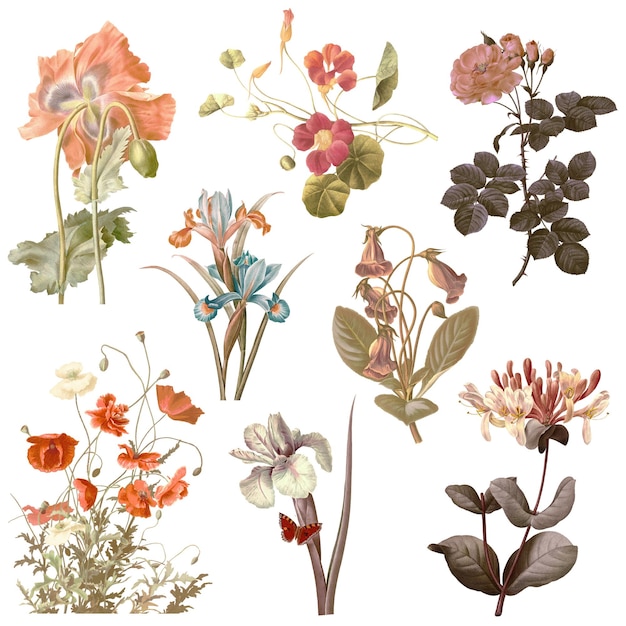 Coloroso conjunto de ilustraciones de pegatinas png de flores remezcladas de obras de arte de dominio público
