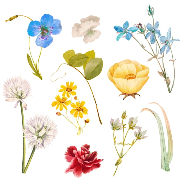 Coloroso conjunto de ilustraciones de pegatinas png de flores remezcladas de obras de arte de dominio público