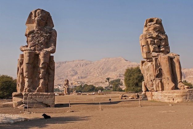 Colosos de Memnon Luxor Thebes contra el fondo del amanecer en Egipto