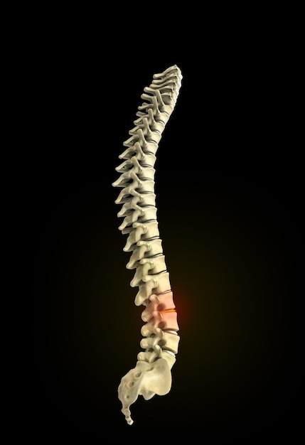 columna vertebral humana renderizado en 3D sobre un fondo negro