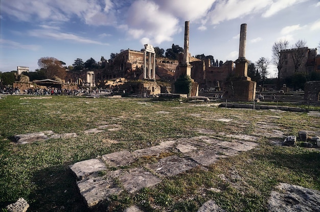 Las columnas