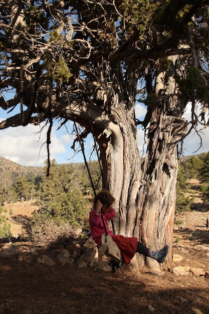 Columpio de árbol de enebro y niño jugando