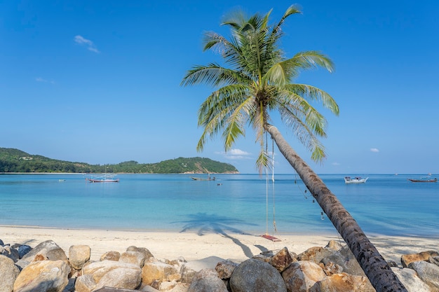 Columpio colgar de la palmera de coco sobre la playa de arena cerca del agua de mar azul, Tailandia